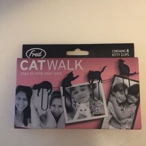 Cat photo clips